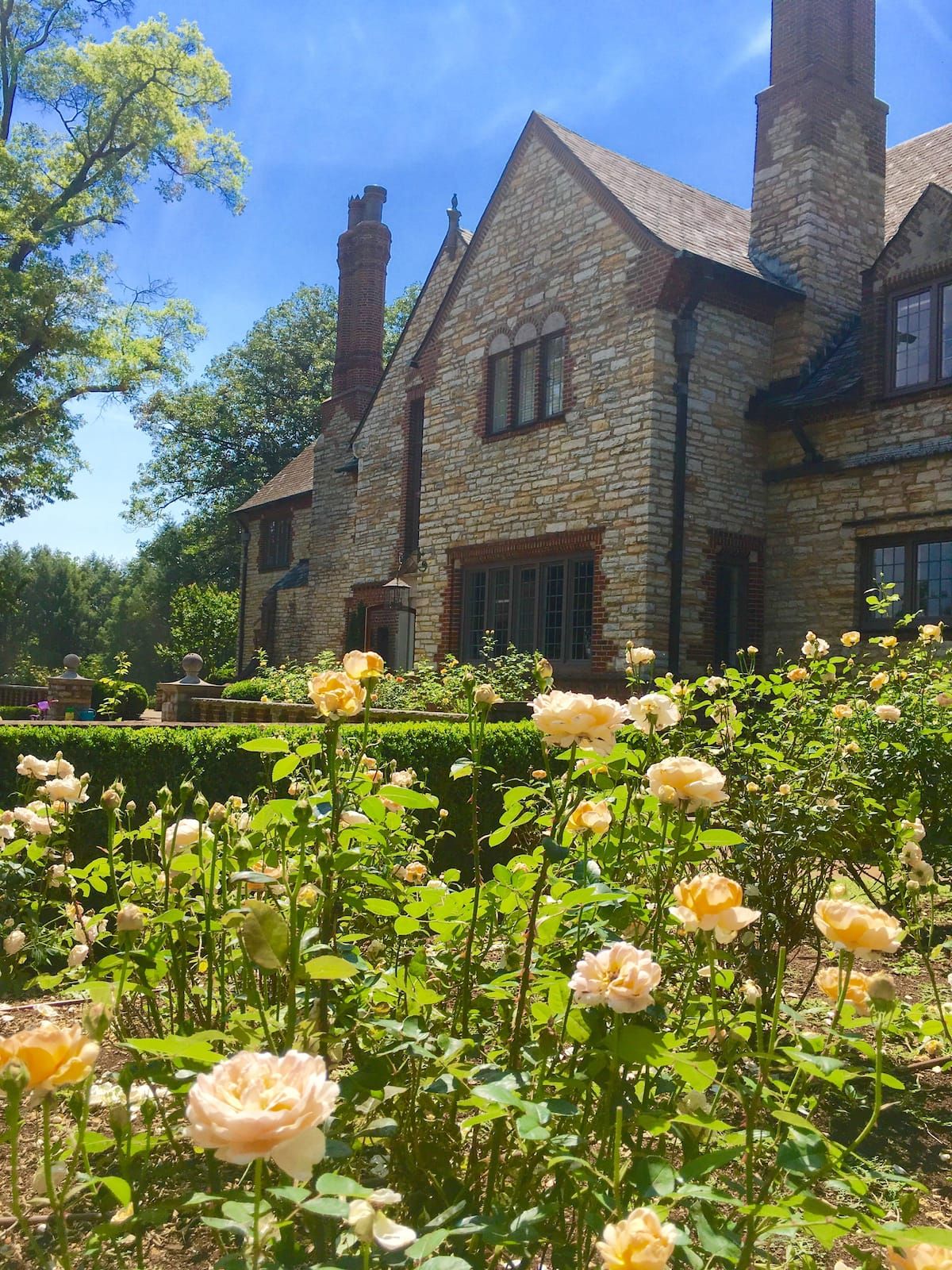 Rose garden in full bloom with estate in background