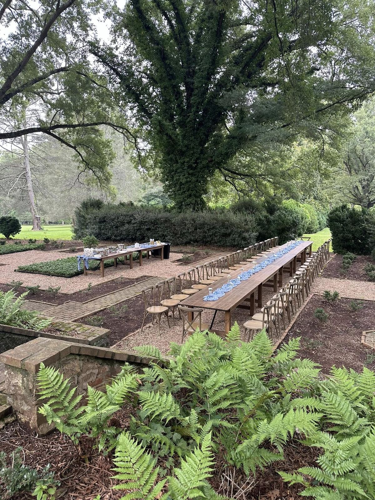 Wide-angle outdoor garden dining setup with long table, ferns, serving station, canopy of mature trees