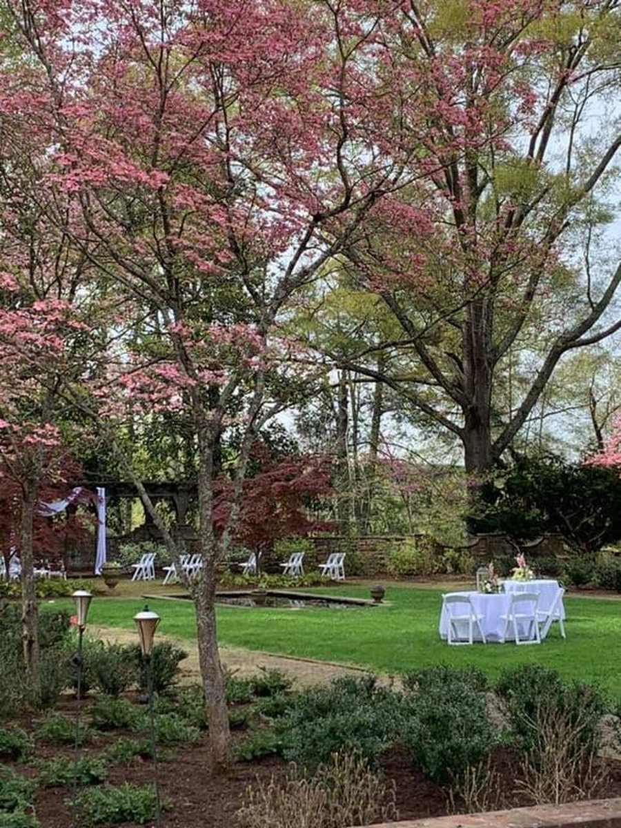 Spring garden with pink dogwood trees, white reception table, chairs, and reflecting pond
